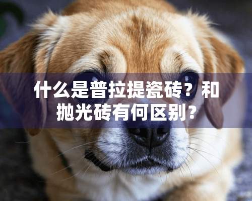 什么是普拉提瓷砖？和抛光砖有何区别？