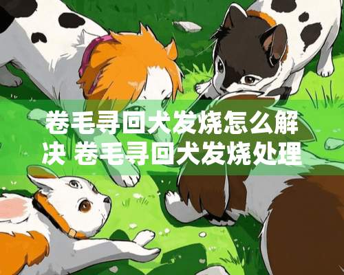 卷毛寻回犬发烧怎么解决 卷毛寻回犬发烧处理方法