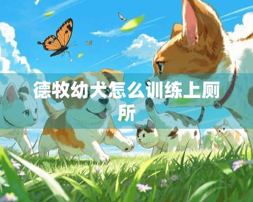 德牧幼犬怎么训练上厕所