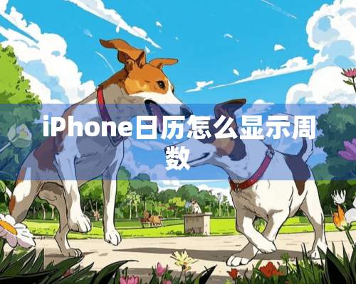 iPhone日历怎么显示周数