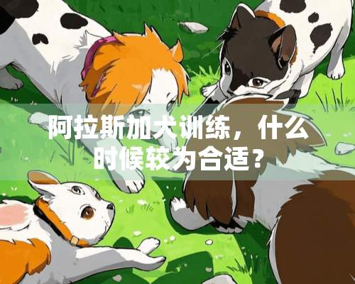 阿拉斯加犬训练，什么时候较为合适？