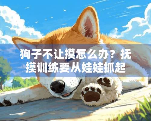 狗子不让摸怎么办？抚摸训练要从娃娃抓起