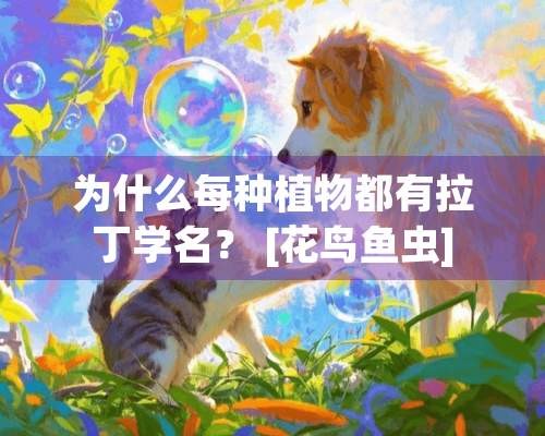 为什么每种植物都有拉丁学名？ [花鸟鱼虫]