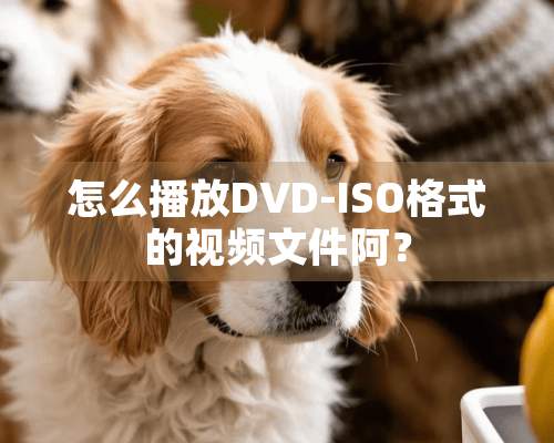 怎么播放DVD-ISO格式的视频文件阿？