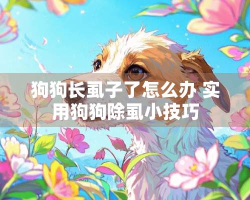 狗狗长虱子了怎么办 实用狗狗除虱小技巧