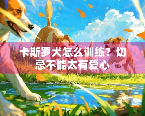 卡斯罗犬怎么训练？切忌不能太有爱心