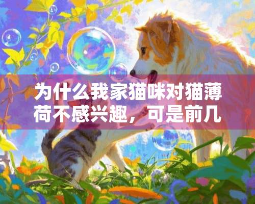 为什么我家猫咪对猫薄荷不感兴趣，可是前几天买的猫抓板里带的猫薄荷，他却很感兴趣。