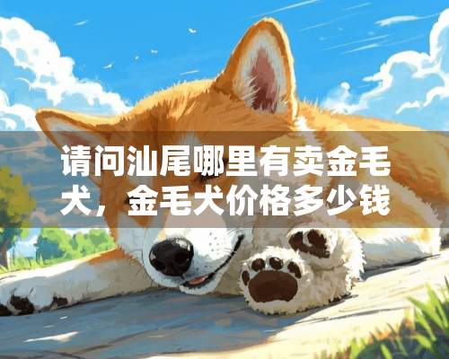 请问汕尾哪里有卖金毛犬，金毛犬价格多少钱一只？