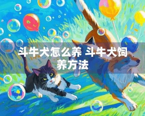 斗牛犬怎么养 斗牛犬饲养方法