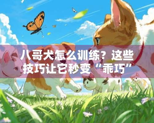 八哥犬怎么训练？这些技巧让它秒变“乖巧”