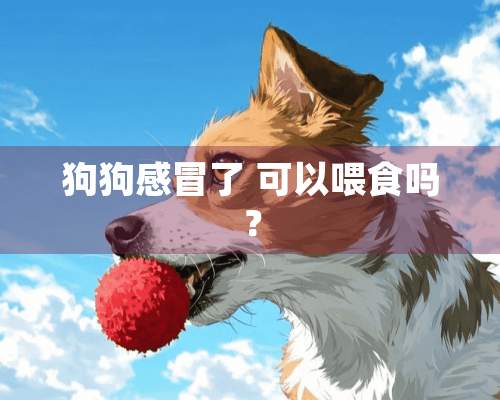 狗狗感冒了 可以喂食吗？