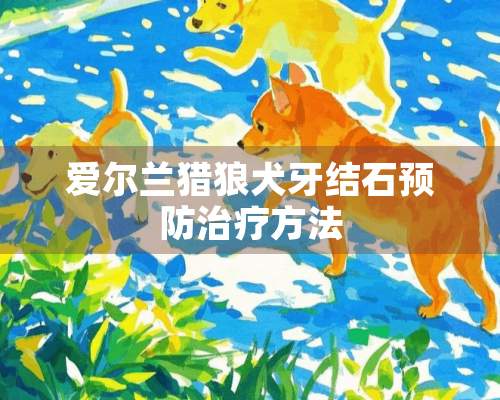 爱尔兰猎狼犬牙结石预防治疗方法