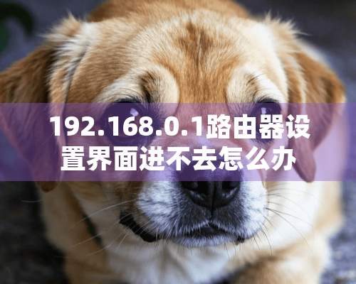 192.168.0.1路由器设置界面进不去怎么办