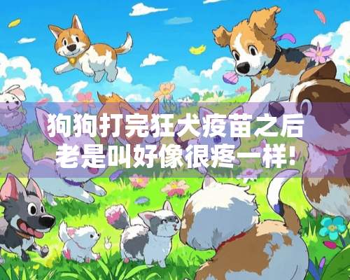 狗狗打完狂犬疫苗之后老是叫好像很疼一样!