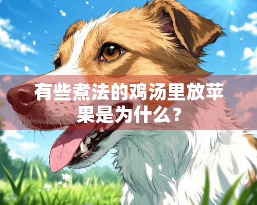 有些煮法的鸡汤里放苹果是为什么？