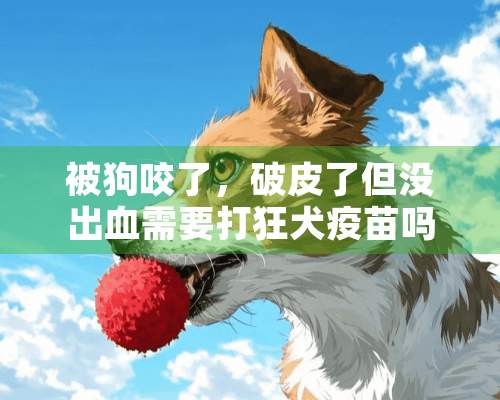 被狗咬了，破皮了但没出血需要打狂犬疫苗吗？