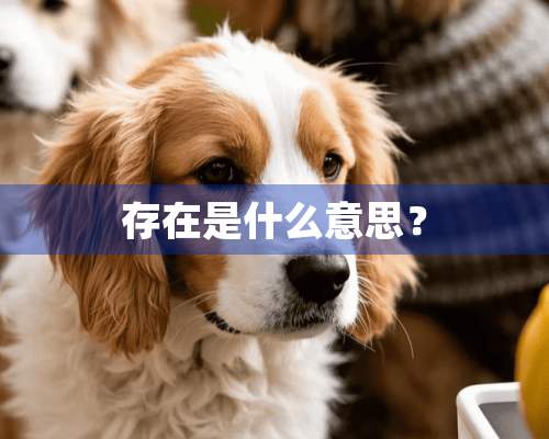 存在是什么意思？