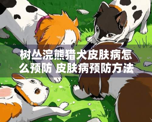 树丛浣熊猎犬皮肤病怎么预防 皮肤病预防方法