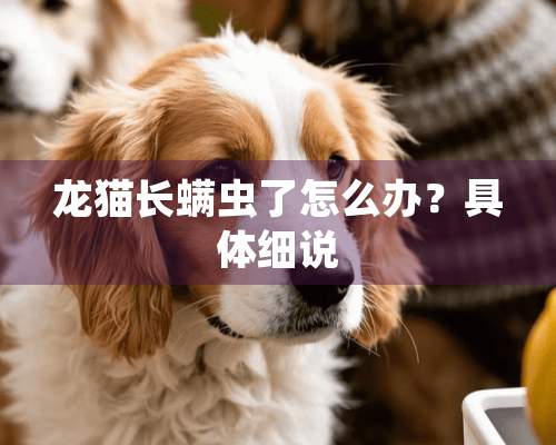 龙猫长螨虫了怎么办？具体细说