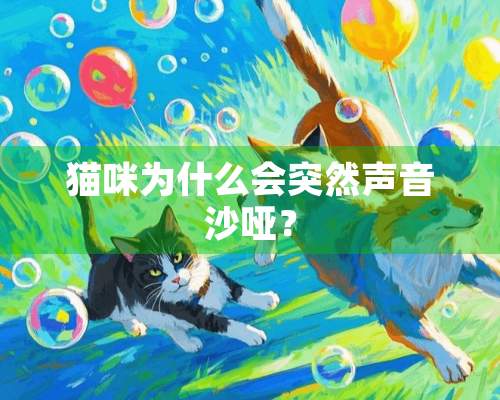 猫咪为什么会突然声音沙哑？