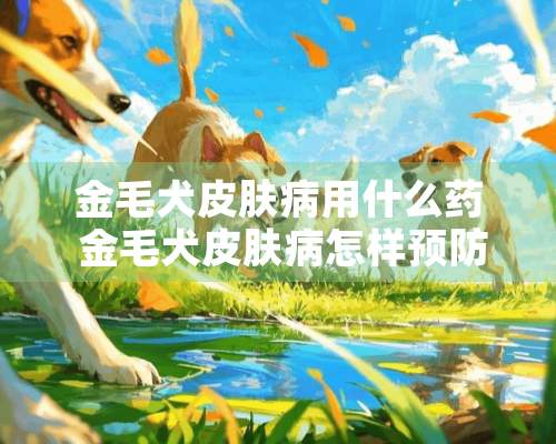 金毛犬皮肤病用什么药 金毛犬皮肤病怎样预防