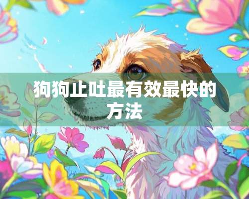 狗狗止吐最有效最快的方法