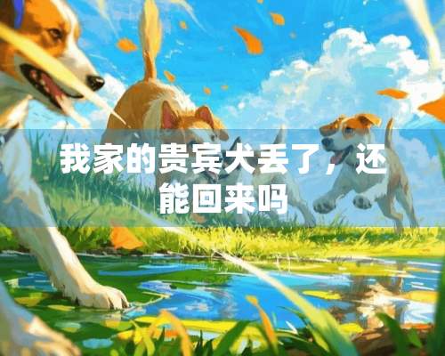 我家的贵宾犬丢了，还能回来吗