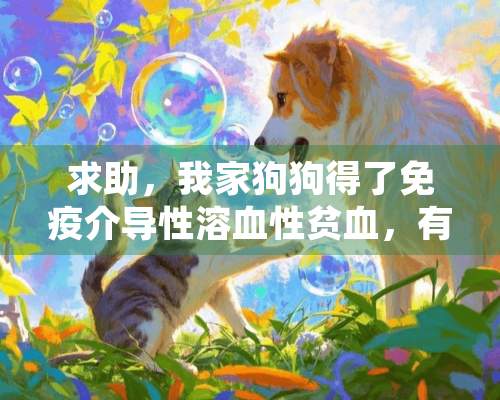 求助，我家狗狗得了免疫介导性溶血性贫血，有