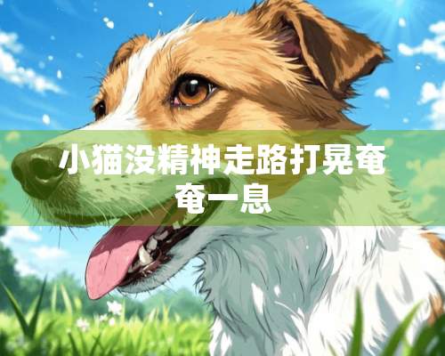 小猫没精神走路打晃奄奄一息