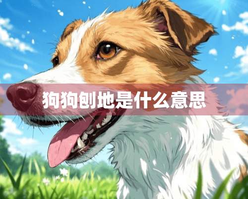 狗狗刨地是什么意思