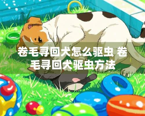 卷毛寻回犬怎么驱虫 卷毛寻回犬驱虫方法