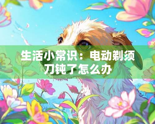 生活小常识：电动剃须刀钝了怎么办