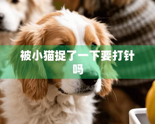 被小猫捉了一下要打针吗