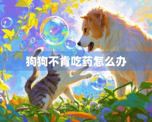 狗狗不肯吃药怎么办