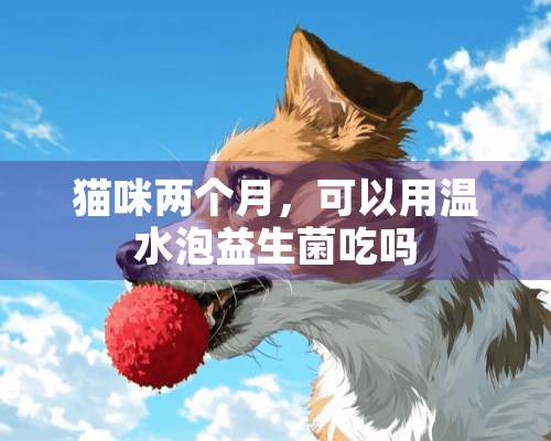 猫咪两个月，可以用温水泡益生菌吃吗