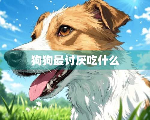 狗狗最讨厌吃什么