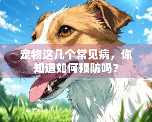 宠物这几个常见病，你知道如何预防吗？