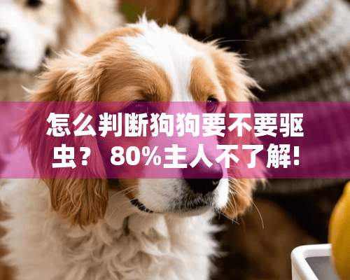 怎么判断狗狗要不要驱虫？ 80%主人不了解!