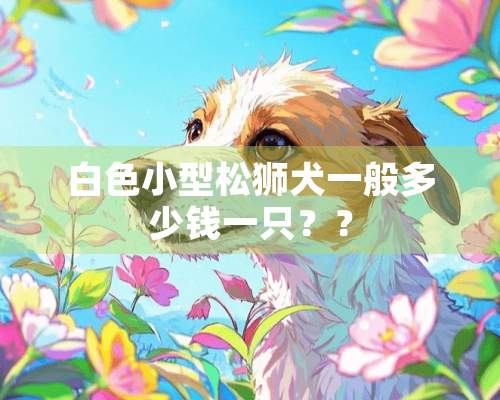 白色小型松狮犬一般多少钱一只？？