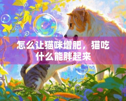 怎么让猫咪增肥，猫吃什么能胖起来