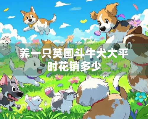 养一只英国斗牛犬大平时花销多少