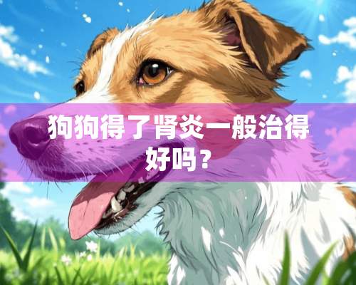 狗狗得了肾炎一般治得好吗？