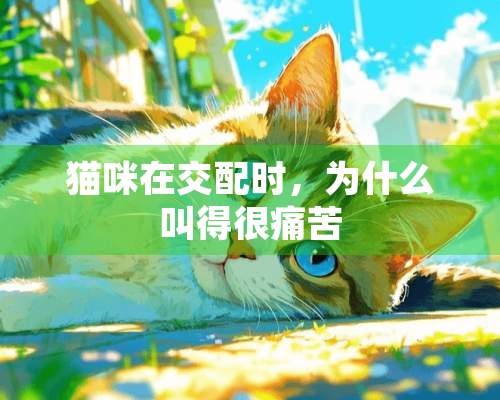 猫咪在交配时，为什么叫得很痛苦