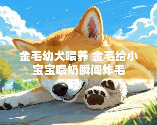 金毛幼犬喂养 金毛给小宝宝喂奶瞬间炸毛