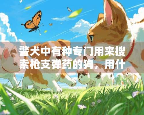 警犬中有种专门用来搜索*支**的狗，用什么东西可以干扰它的嗅觉