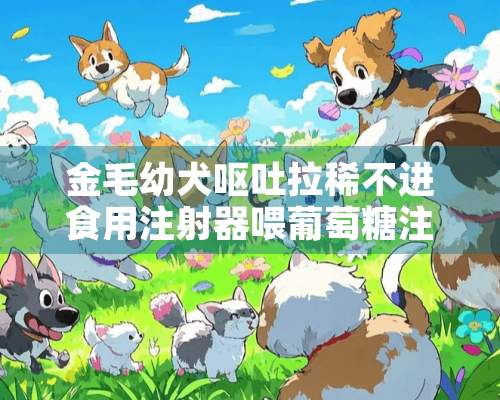 金毛幼犬呕吐拉稀不进食用注射器喂葡萄糖注射液可以吗？