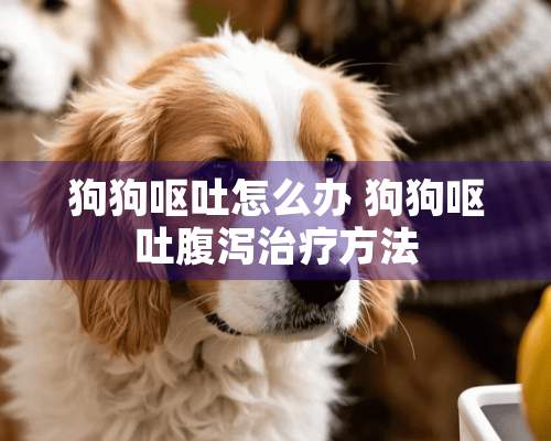 狗狗呕吐怎么办 狗狗呕吐腹泻治疗方法