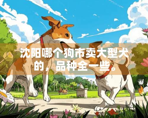 沈阳哪个狗市卖大型犬的，品种全一些。