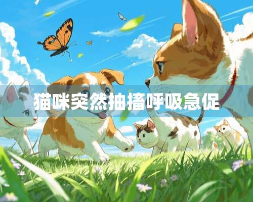 猫咪突然抽搐呼吸急促