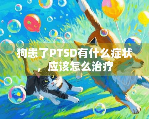 狗患了PTSD有什么症状，应该怎么治疗